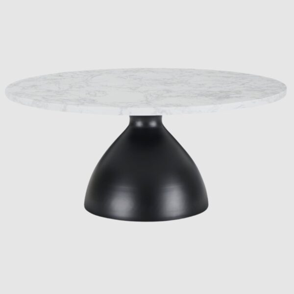 Holmdel Marble Coffee Table With Black Iron Base In White
